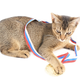 Illustration for article titled Heroic Pets Inducted Into Animal Hall of Fame